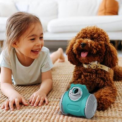 Distributeur de Croquettes pour Chien - BrainChase™ - Turquoise - Le Chien Combler
