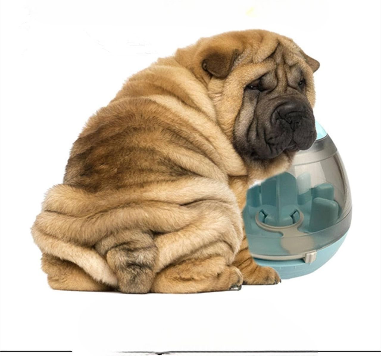 Distributeur de Croquettes pour Chien - FeedMaze™ - Bleu - Le Chien Combler