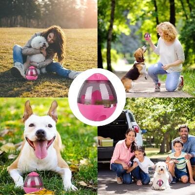 Distributeur de Croquettes pour Chien - FeedMaze™ - Rose - Le Chien Combler