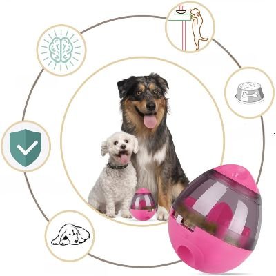 Distributeur de Croquettes pour Chien - FeedMaze™ - Rose - Le Chien Combler