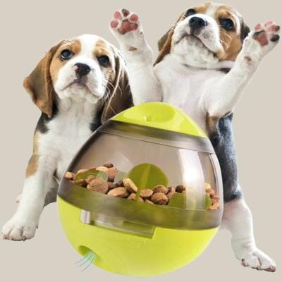 Distributeur de Croquettes pour Chien - FeedMaze™ - Vert - Le Chien Combler