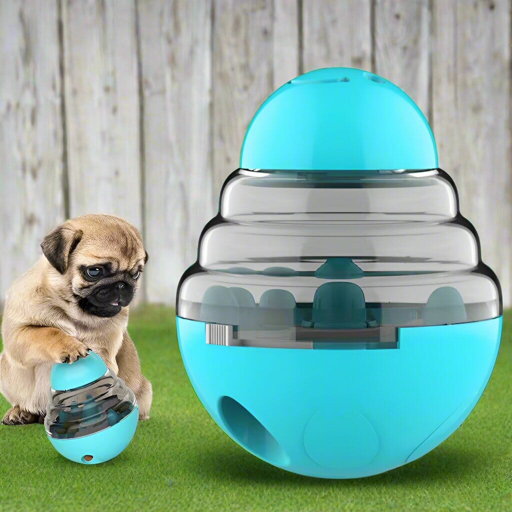 Distributeur de Croquettes pour Chien - SlowFeederDog™ - Turquoise - Le Chien Combler