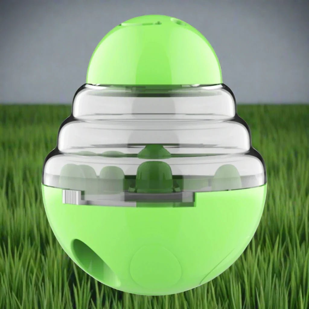 Distributeur de Croquettes pour Chien - SlowFeederDog™ - Vert - Le Chien Combler