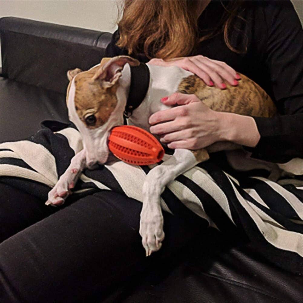 Jouet Interactif pour Chien - ChewBounceBall™ - Rouge - Le Chien Combler