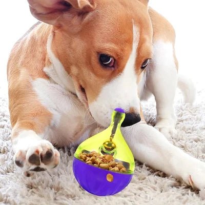 Jouet Interactif pour Chien - FeedBall™ - Toupie - Le Chien Combler