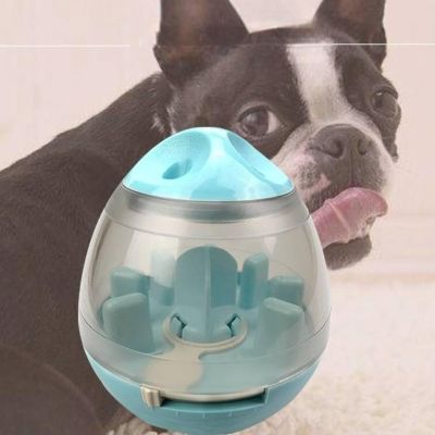 Distributeur de Croquettes pour Chien - FeedMaze™ - Bleu - Le Chien Combler
