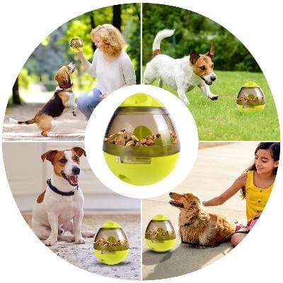 Distributeur de Croquettes pour Chien - FeedMaze™ - Vert - Le Chien Combler
